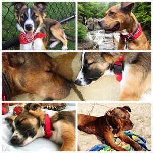 Meet your Posher, Kelsey